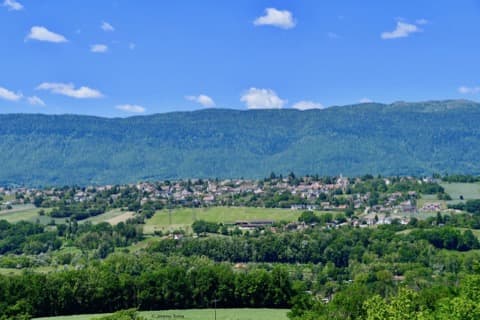 Couvreur Challex