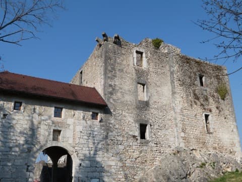 Couvreur Cressin-Rochefort