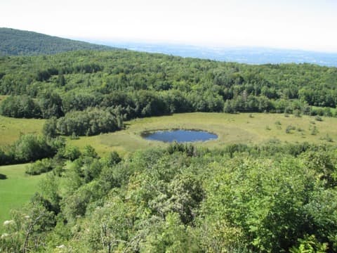 Couvreur Marchamp