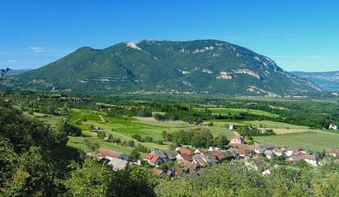 Couvreur Vongnes
